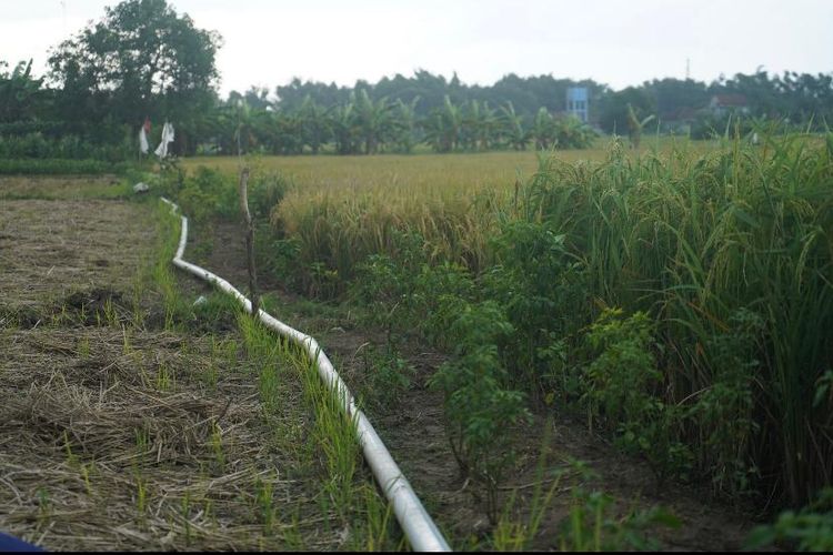 Ilustrasi sistem pengairan untuk lahan sawah.