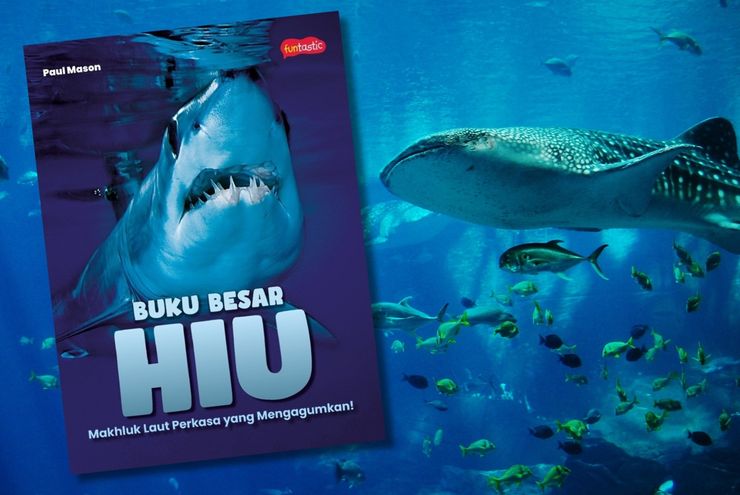 Menyelami Dunia Hiu yang Menakjubkan
