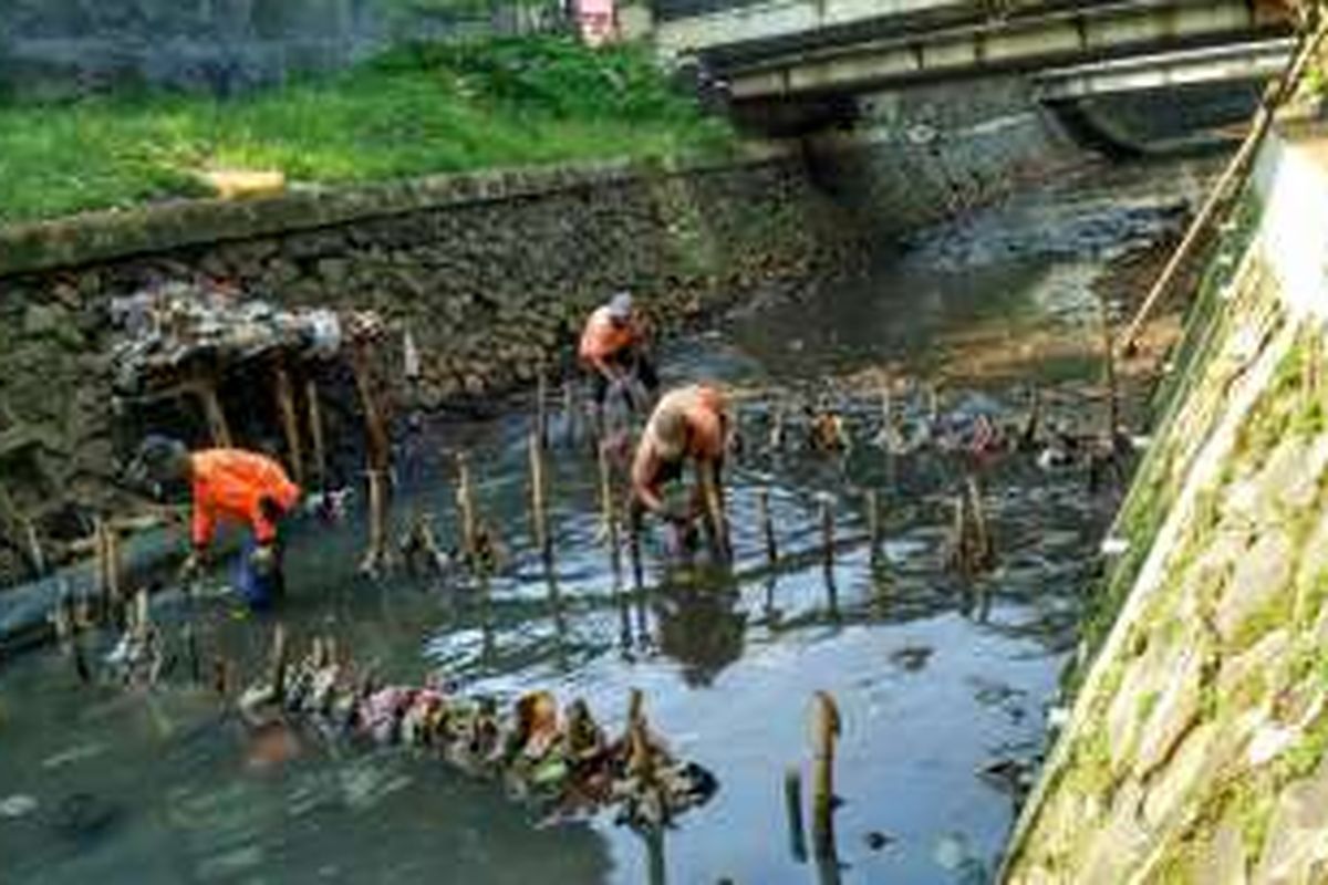 Para petugas UPK Badan Air Dinas Kebersihan DKI Jakarta membersihkan sampah-sampah yang tersangkut di patok-patok yang mereka pasang di Kali Baru Barat, Mbau, Pancoran, Jakarta Selatan, Rabu (18/5/2016).