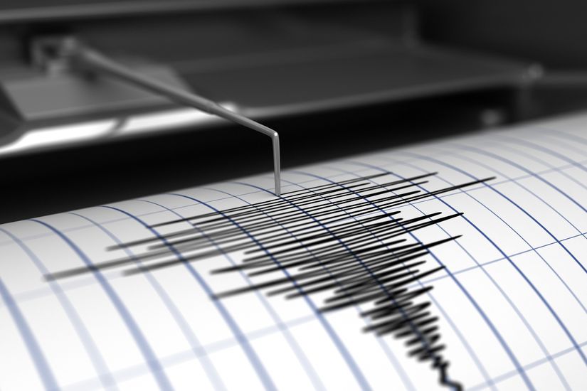 Gempa M 7,9 di Maluku, BMKG Keluarkan Peringatan Dini Potensi Tsunami