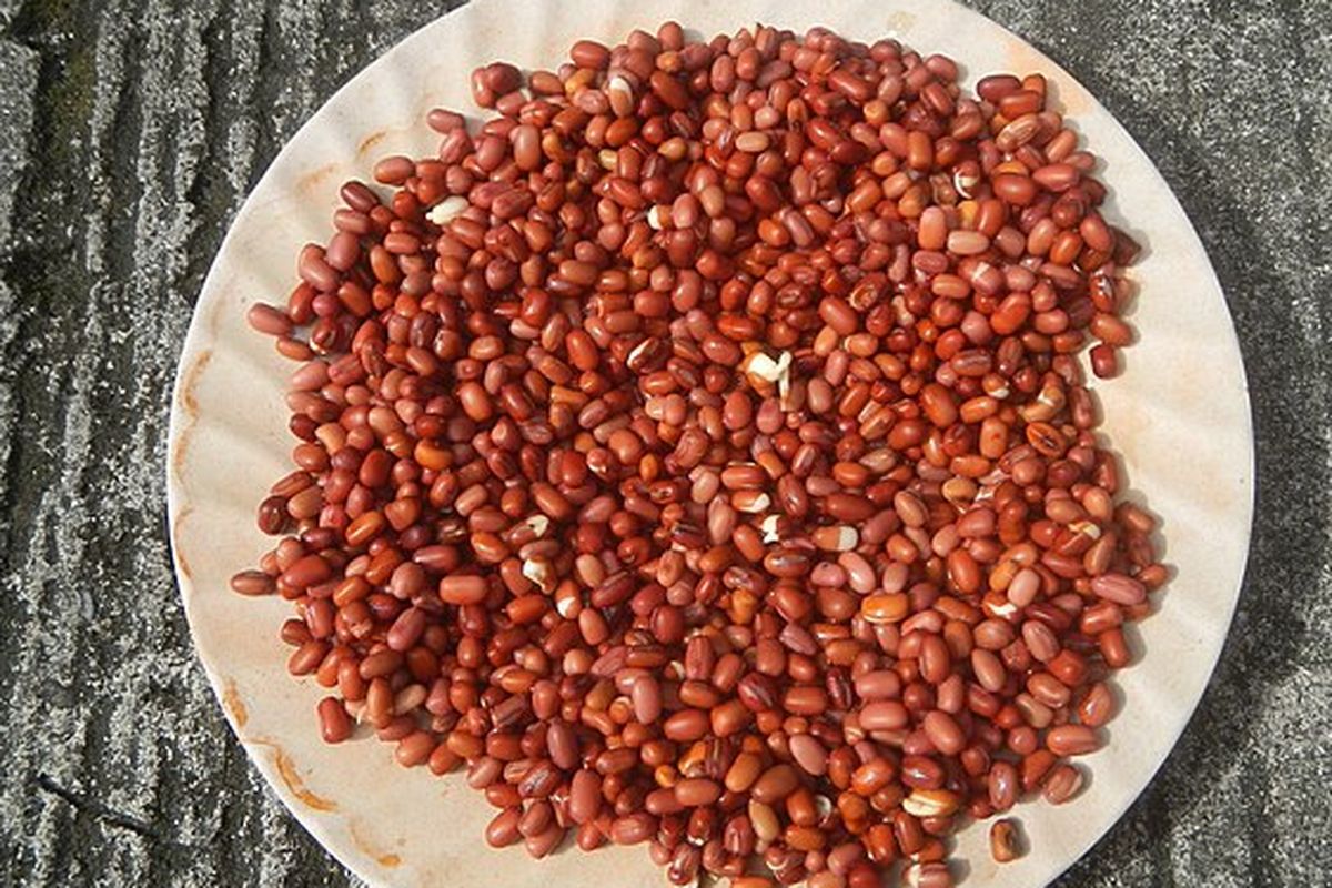 Ogil va rus ona porno onlayn Yetuk neylon porno