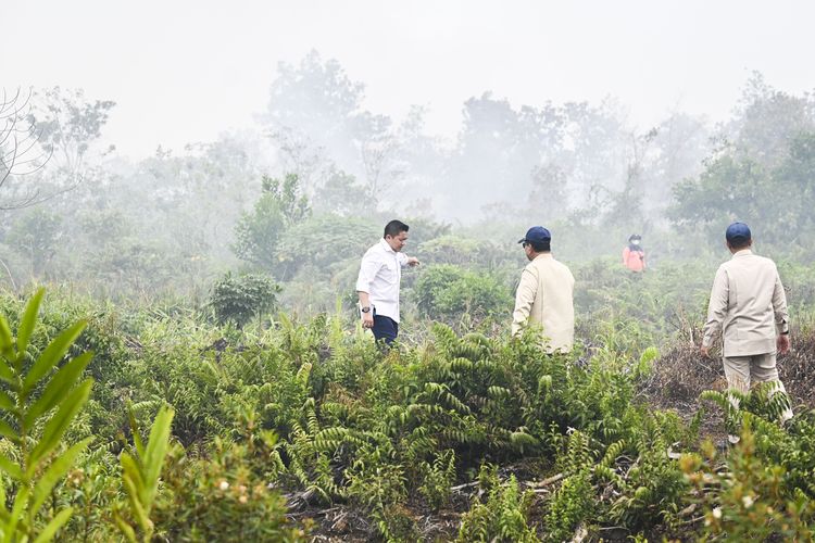 Usai Kalimantan, Prabowo Lanjutkan Peninjauan Penanganan Karhutla di Riau
