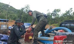 Kemenhut Usul ke Presiden Prabowo Tambah 21.000 Personel Polisi Hutan