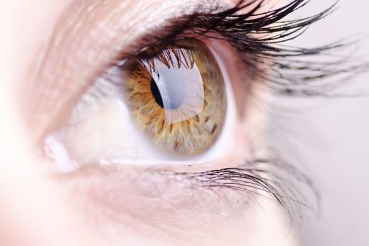 Penderita diabetes berisiko tinggi mengalami penyakit mata, meliputi retinopati diabetik, edema makula, katarak, dan glaukoma. 