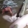 Momen Warga di Karangasem Bali Evakuasi Ternak dari Banjir 