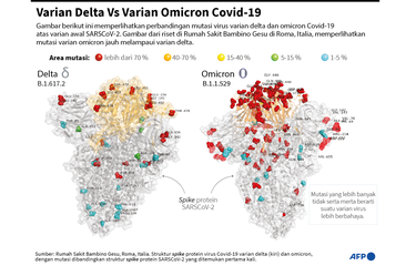 Perbandingan mutasi varian delta (kiri) dan omicron Covid-19 atas struktur varian SARSCoV-2 yang pertama kali ditemukan.