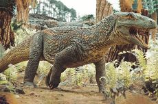 Gempa M 3,9 Terjadi di Gayo Lues Aceh