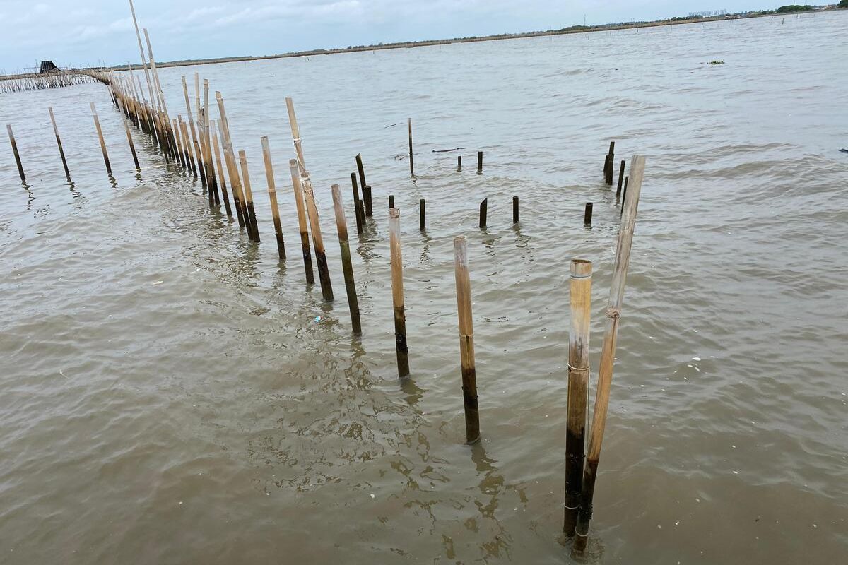 Penampakan dari Dekat Pagar Laut Misterius di Perairan Tangerang