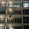 Menantangnya Penyelamatan WN Korsel yang Coba Lompat dari Lantai 8 Apartemen di Kembangan...