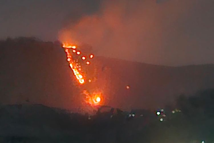 Kebakaran Hutan Melanda Bukit Siloreng Wonosobo, Pemadaman Api Berlangsung 2 Jam