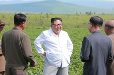 PBB: Produksi Pangan Korea Utara pada 2018 Terus Menurun