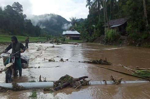 Banjir Bandang Solok Rusak 60 Hektar Tanaman Padi Petani