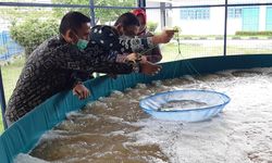 Lewat Jabu Dekke, Kementerian KP Dongkrak Nilai Ekonomi Produk Perikanan