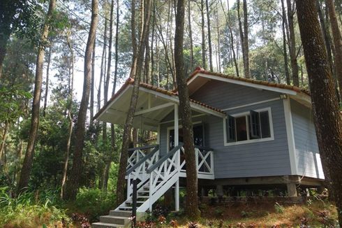 Dari Fasilitas Kamar sampai Wahana Bermain, Ini Rekomendasi 3 Hotel Terbaik di Puncak Bogor