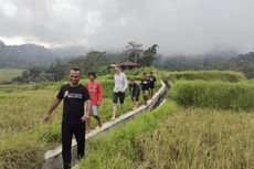 Wisata di Desa Wisata Golo Loni NTT, Bisa Trekking hingga Panen Padi