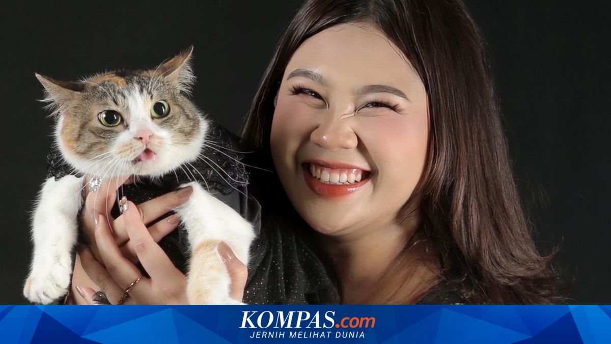 Kucing dan Sugar Glider Jadi Selebritas Media Sosial, Bawa Popularitas dan Cuan
