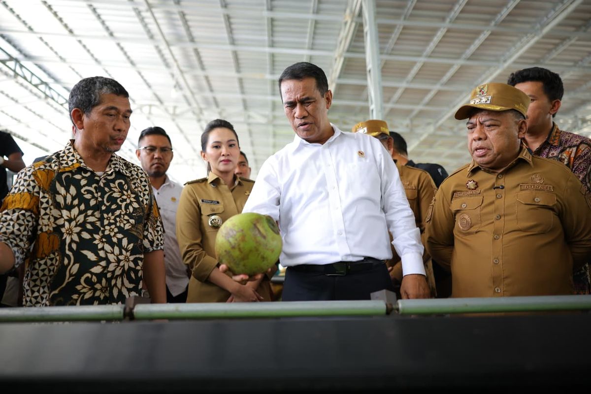 Menteri Pertanian (Mentan) Andi Amran Sulaiman saat berkunjung ke pabrik pengolahan kelapa PT NICO, Halmahera Utara, Maluku Utara, Minggu (27/10/2025). 

