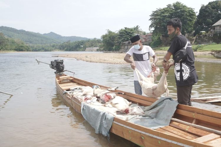 Tim Tebar Hewan Kurban 1442H Dompet Dhuafa cabang Riau, menyusuri sungai untuk tembus pedalaman Riau dalam membagikan berkah daging kurban kepada saudara sesama.