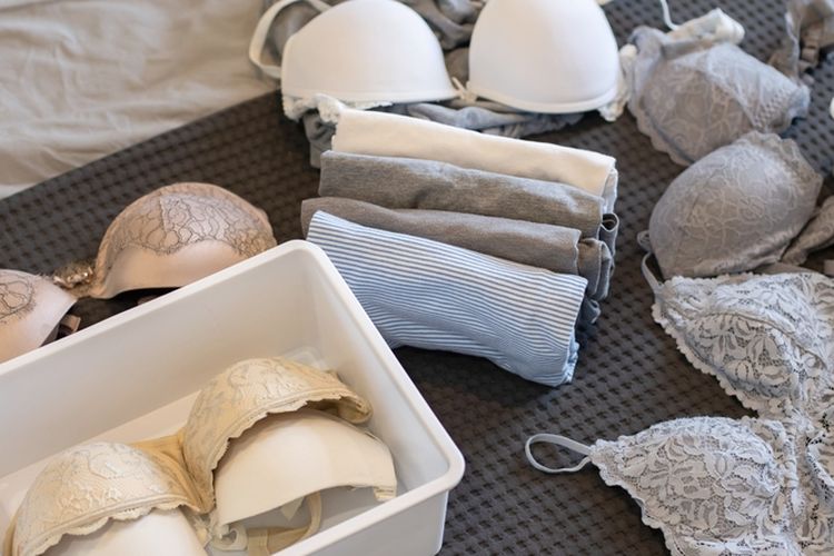 Ilustrasi bra.