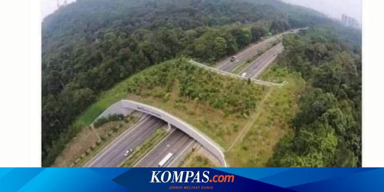 [KLARIFIKASI] Benarkah Jembatan Ini Ada di Belanda?