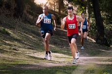 Bagaimana Cara Dapat Gelar Pahlawan Nasional? Ini Ketentuannya