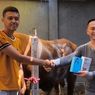 Ada-ada Saja, Beli Sapi Kurban di Pasuruan Dapat Bonus 