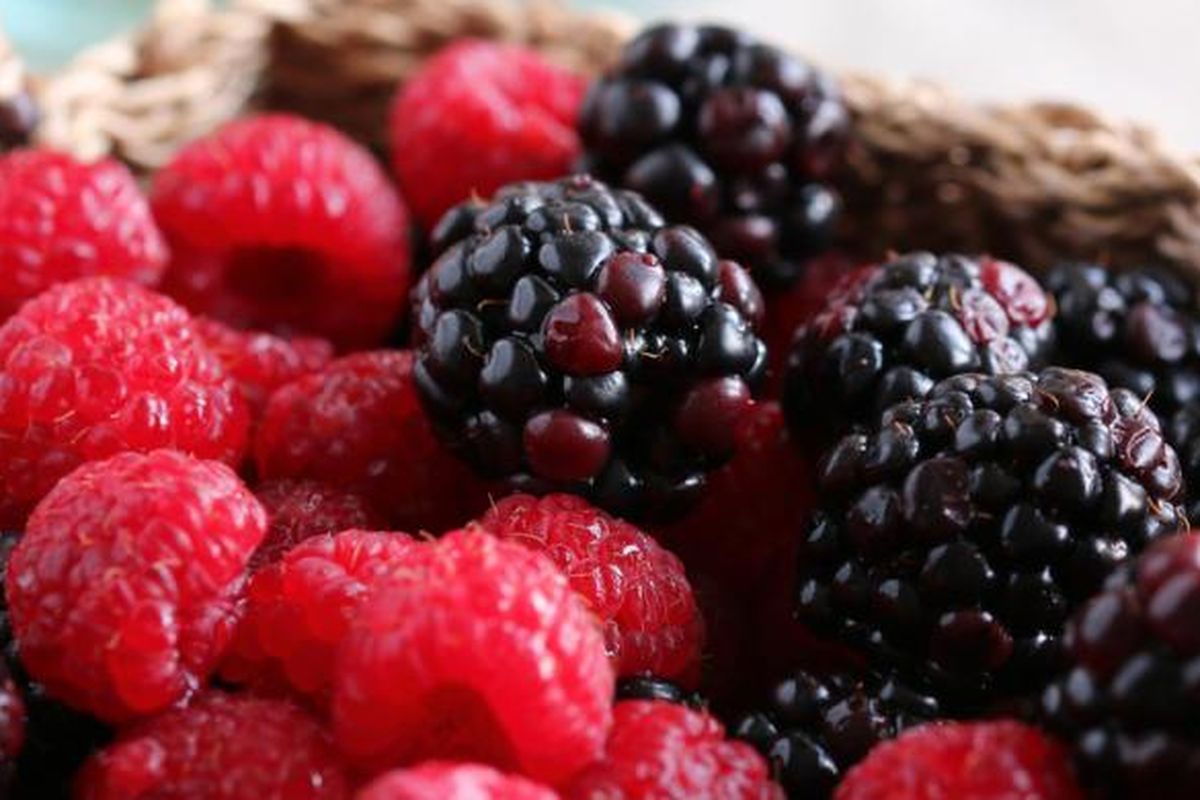 Ilustrasi buah Berries.