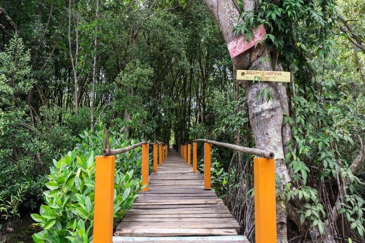 Ekowisata Alam Mangrove Pandang Tak Jemu di Desa Wisata Kampung Tua Bakau Serip, Batam, Kepulauan Riau. 