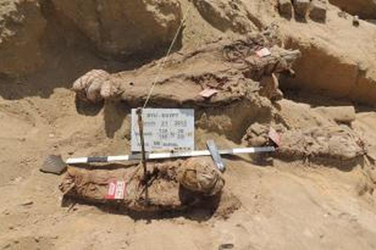 Salah satu mumi yang ditemukan di kompleks pemakaman Fad el-Gamous.