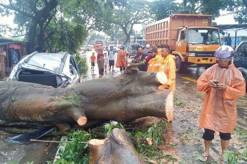 Hujan dan Angin Kencang di Kota Malang, 1 Mobil Tertimpa Pohon