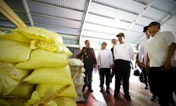 Penyelundupan 1.897 Ton Beras di Karimun, Mentan Beberkan Dampak pada Ketahanan Pangan