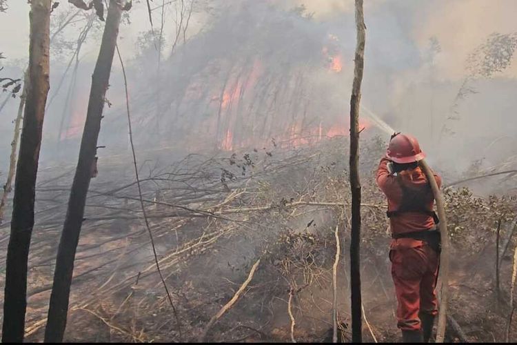 Wamen HAM Minta Proses Hukum Tersangka Karhutla Tak Berhenti pada Pelaku di Lapangan