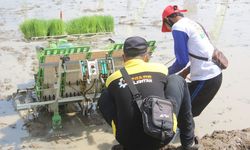 Kementan Fokuskan Alsintan untuk Peningkatan Produksi Pangan dan Kesejahteraan Petani