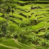 yoga trip in bali