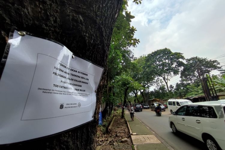 Spanduk dan kertas pengumuman penebangan pohon terpasang di atas trotoar Jalan RS Fatmawati Raya, Cilandak, Jakarta Selatan, Kamis (13/1/2022).