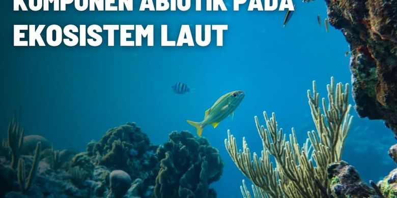 Komponen Abiotik pada Ekosistem Laut