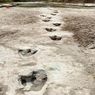 Terungkap Jejak Kaki Dinosaurus, akibat Sungai di Texas Alami Kekeringan Parah