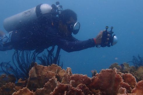 5 Hal yang Tak Boleh Dilakukan Saat Menyelam di Kepulauan Seribu