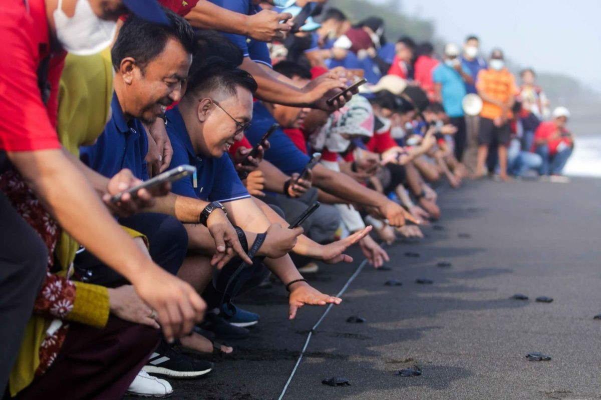 PT Elnusa Petrofin (EPN) selaku anak usaha PT Elnusa Tbk (ELSA) menggelar kegiatan pelepasan tukik di pesisir pantai Goa Cemara, Kabupaten Bantul, Provinsi Daerah Istimewa Yogyakarta (DIY), Jumat (15/7/2022).
