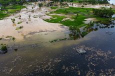 MenteriPAN-RB Rini Raih Penghargaan Adibhakti Sanapati 2025 dari BSSN