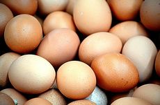 Petugas Pos Jemput Bola Salurkan BLT Kesra bagi Warga Sakit di Samarinda