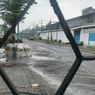 Bentrok Perguruan Silat, Akademisi: Perasaan Kolektif Memicu Konflik