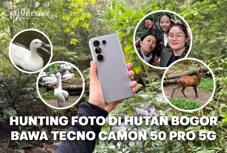 Hunting foto alam bawa Tecno Camon 50 Pro 5G