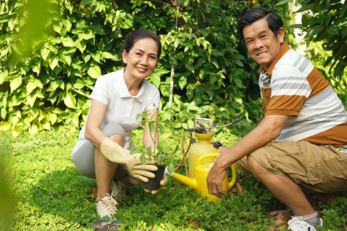 Aktivitas berkebun di pekarangan rumah