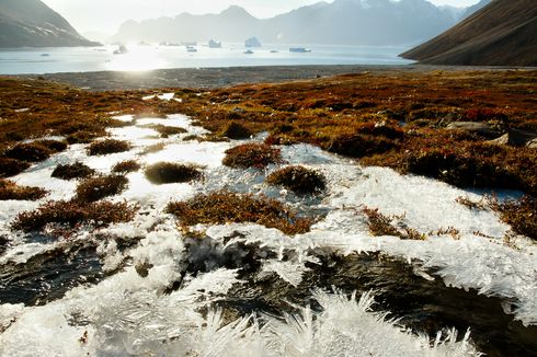 Mengapa Patogen Purba dari Permafrost Bikin Ilmuwan Khawatir?