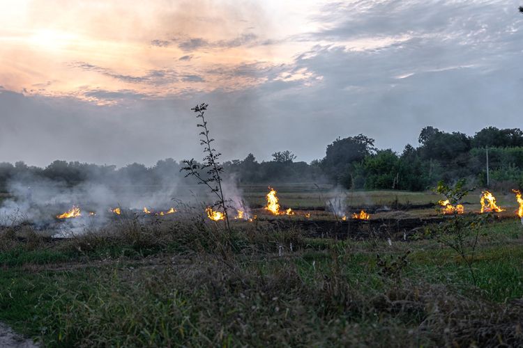 Latar Belakang Pertempuran Ambarawa