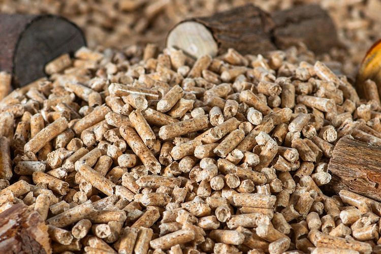 Ilustrasi wood pellet atau pelet kayu.