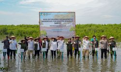 Kick Off M4CR, Menhut Targetkan Rehabilitas Mangrove Seluas 15.387 Hektar