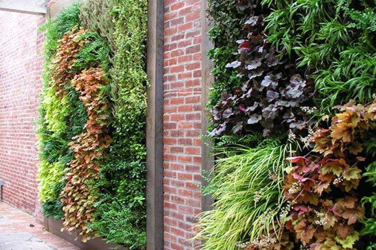 Vertical garden kombinasi tanaman hidup dengan dinding bata ekspos, karya EcoWalls 