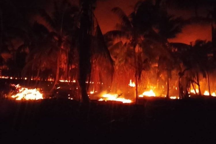 Karhutla Masih Terjadi di Maluku,  4 Kabupaten Ini Jadi Wilayah Terparah